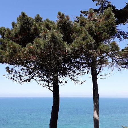 Granville Plage Plat Gousset Εξωτερικό φωτογραφία