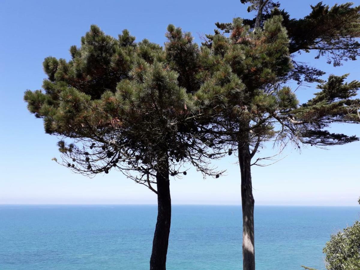 Granville Plage Plat Gousset Εξωτερικό φωτογραφία